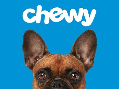 Essential Products At Chewy That Every Pet Owner Should Have