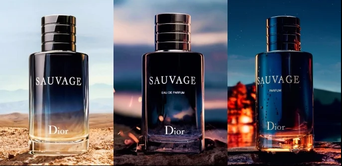 Dior Sauvage Dossier.Co – Full Review